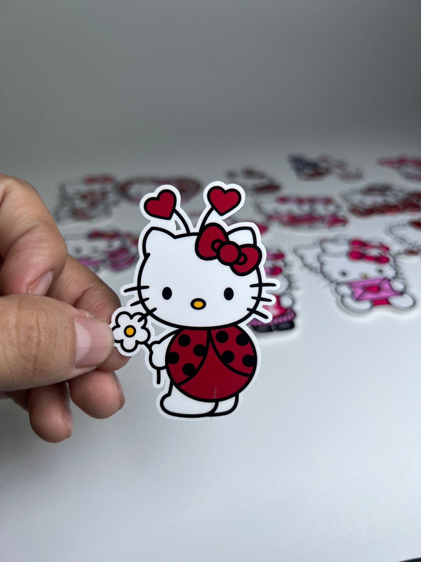 Hk ladybug sticker