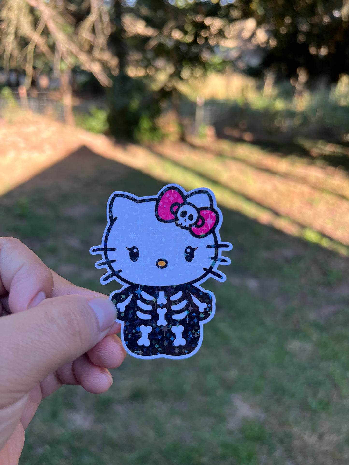 Hk Skeleton Sticker